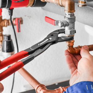 Один штраф для россиян захотели увеличить в 10 раз